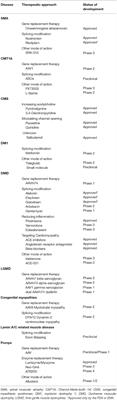 New Therapeutics Options for Pediatric Neuromuscular Disorders